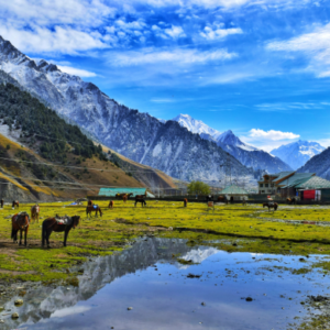 northern pakistan tours